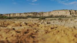 Noémy SMECICAS - SMECICAS NOEMY