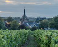 Olivier MULHAUPT - IMPACT PHOTOGRAPHIE ANJOU