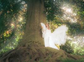 Guillaume CLAMAGIRAND - CG PHOTOGRAPHIE